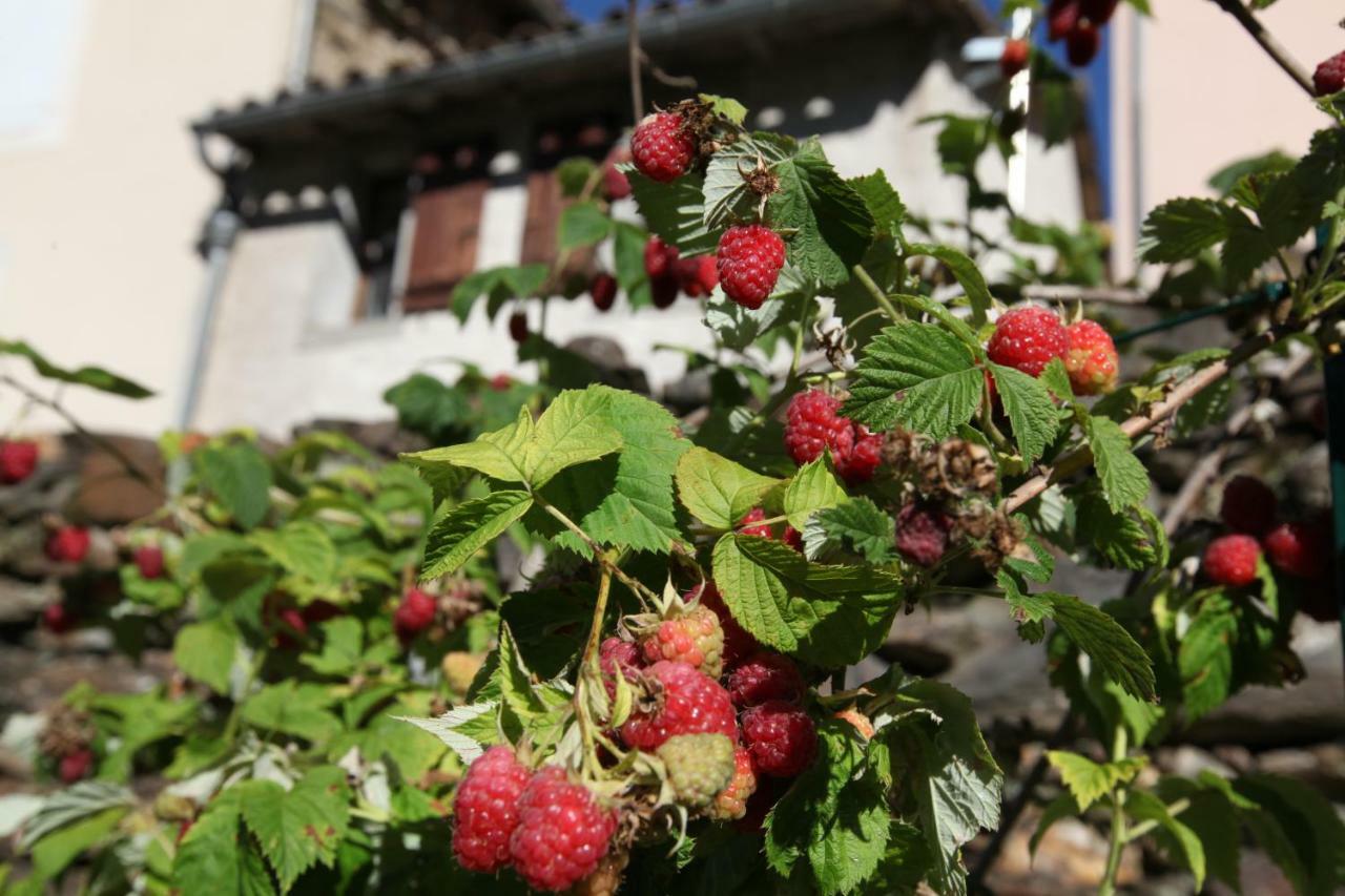 Вілла La Caladette Les Plantiers Екстер'єр фото